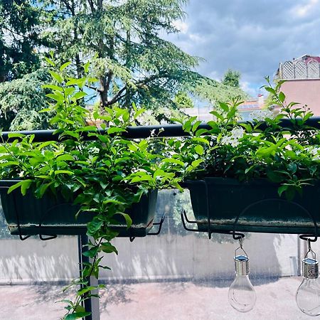 M Boutique Suite Avezzano Exterior foto